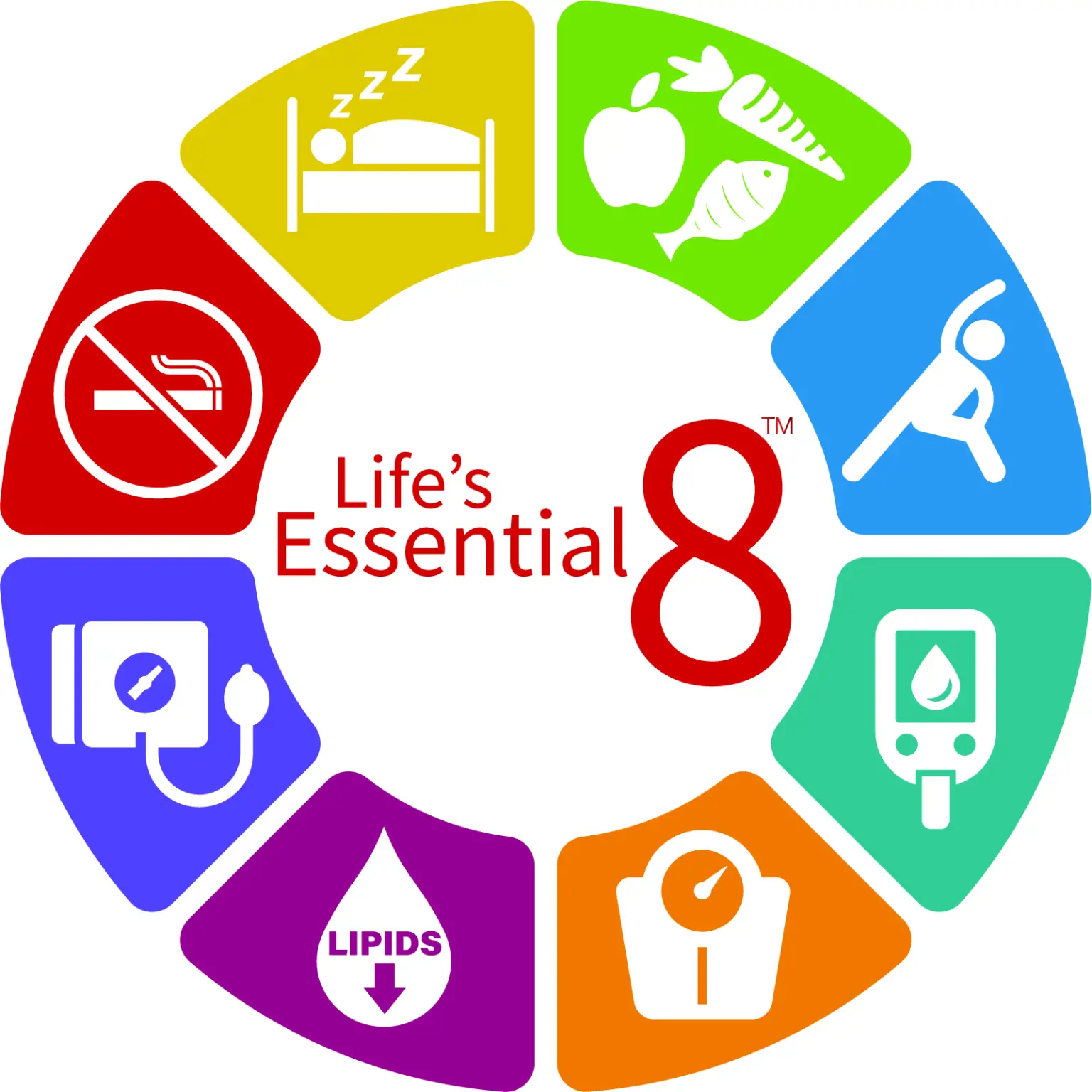 Lifes-Essential-8-1536x1536.webp