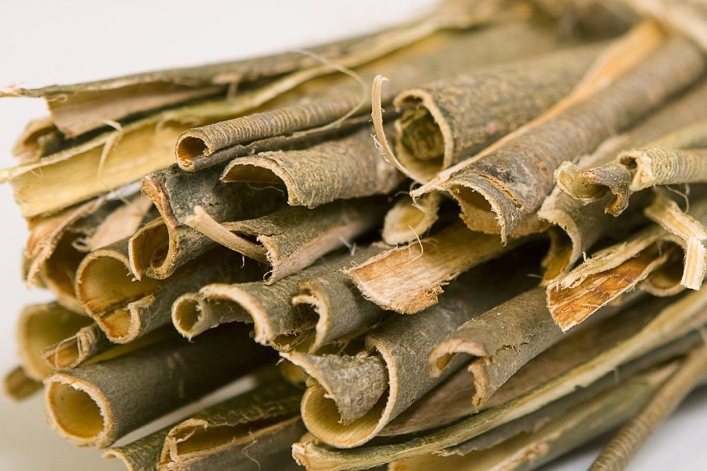 White-willow-bark-Salix-alba-1024x683.jpg