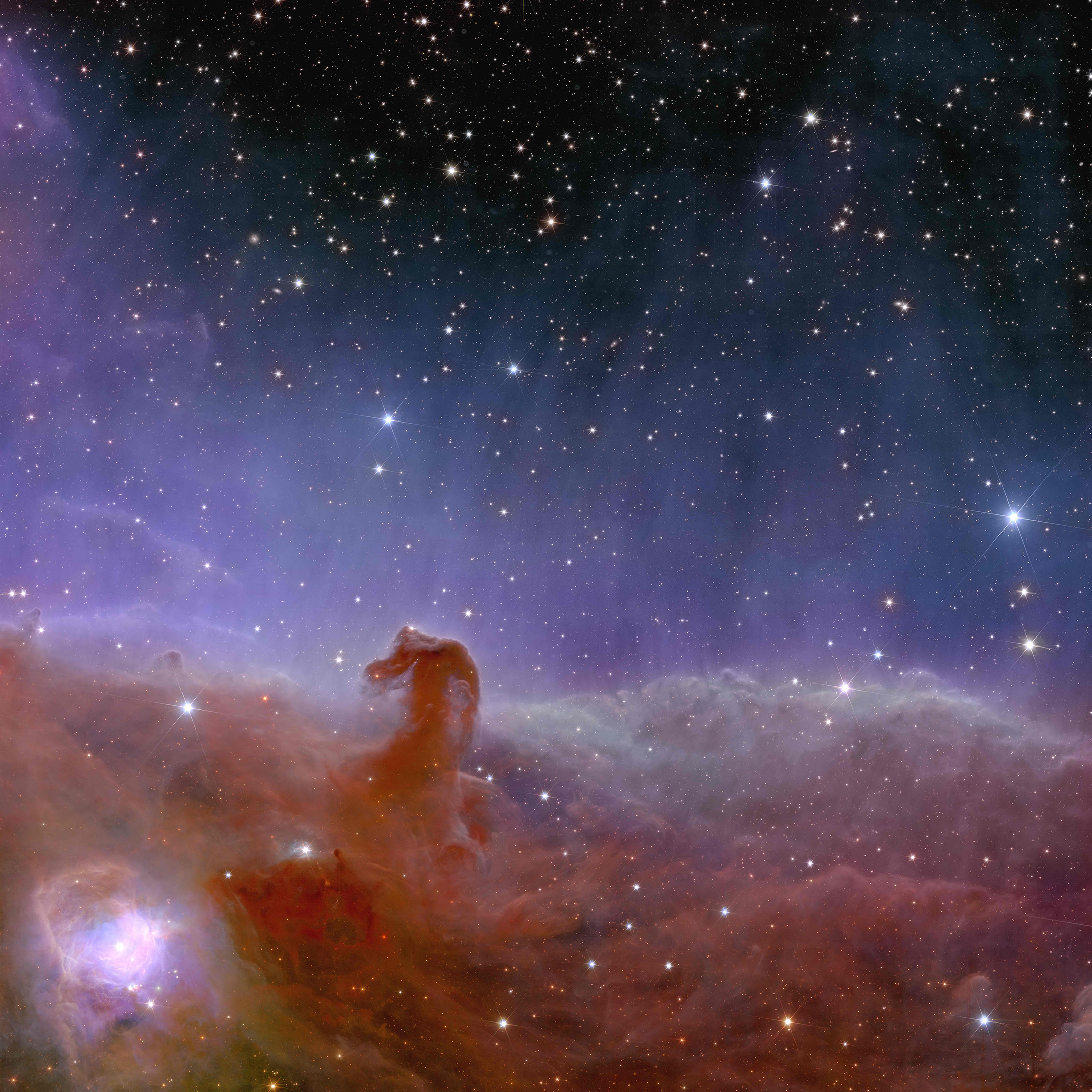 Euclid-Horsehead-Nebula.jpg