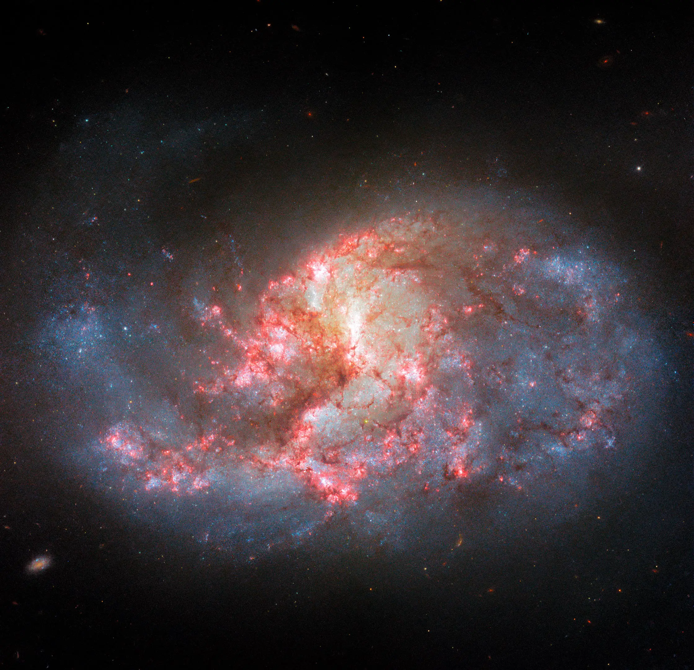 Spiral-Galaxy-NGC-1385.webp