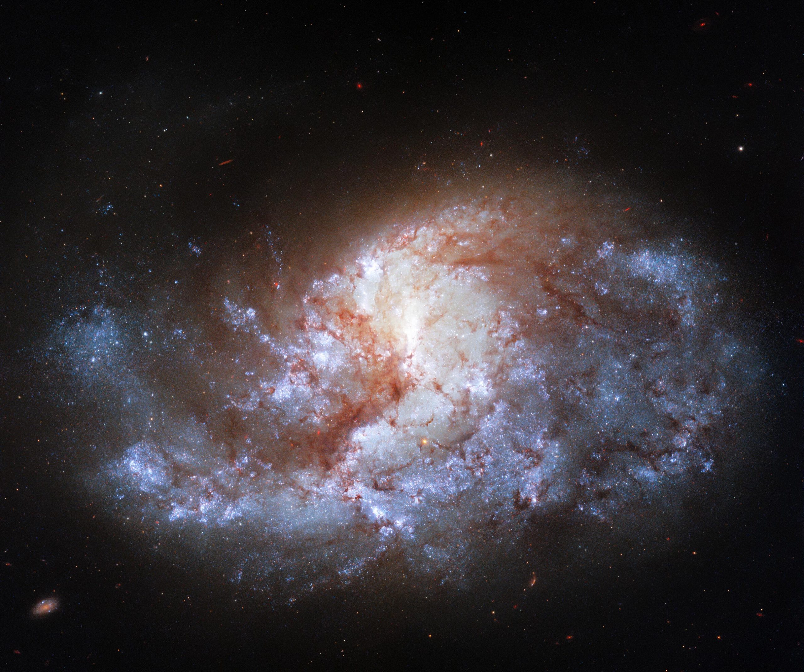 Galaxy-NGC-1385-scaled.jpg