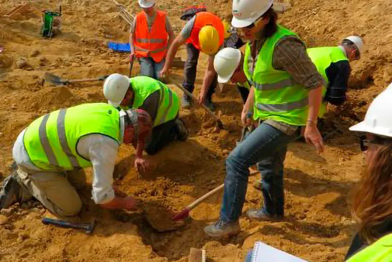 Mosasaurus-Lars-Excavation.webp