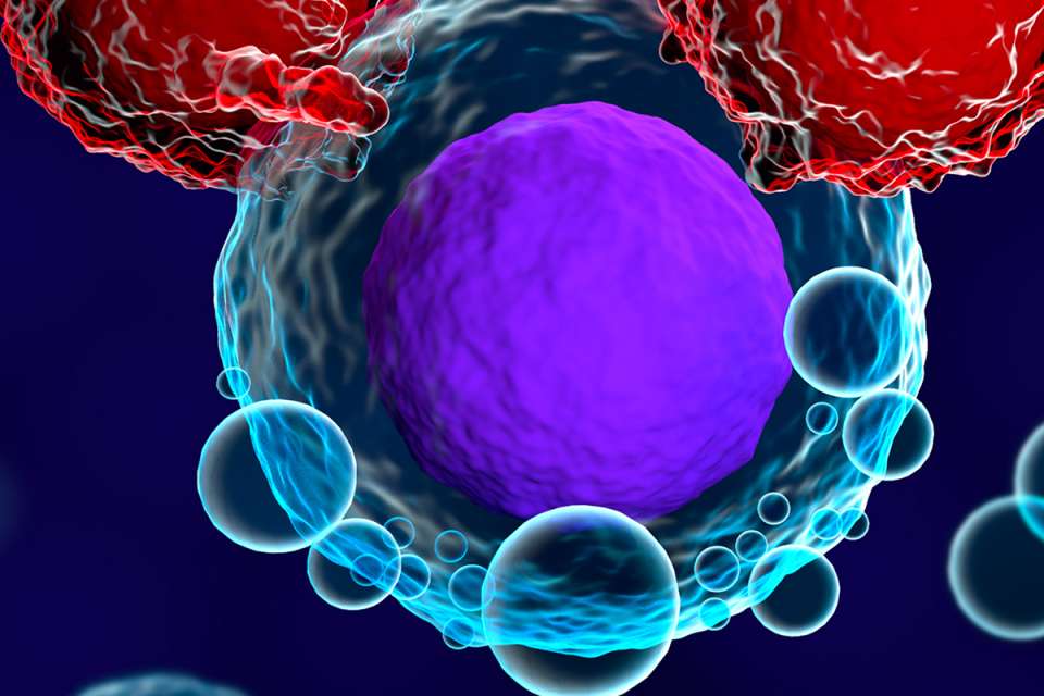 T-cells-cancer-vertical.jpg