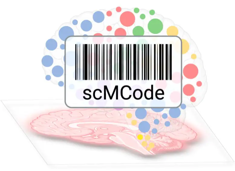 scMCode-Diagram.webp