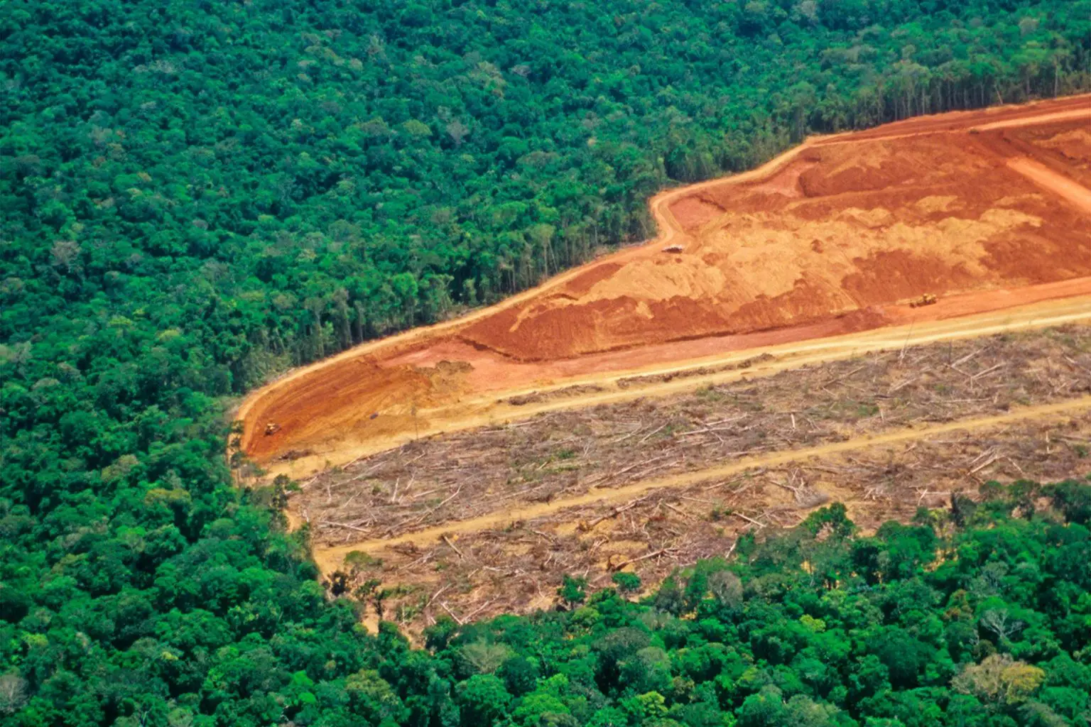 Deforestation-in-Amazon-1536x1024.webp