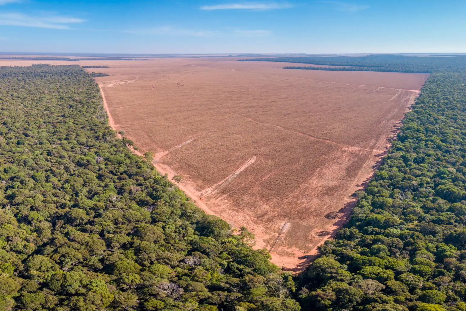 Deforestation-Mato-Grosso-Brazil-1536x1024.webp