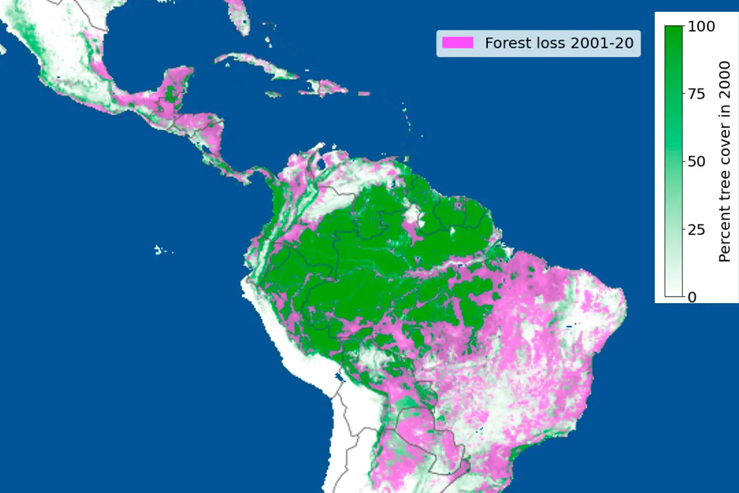 Forest-Loss-Between-2001-2020.webp