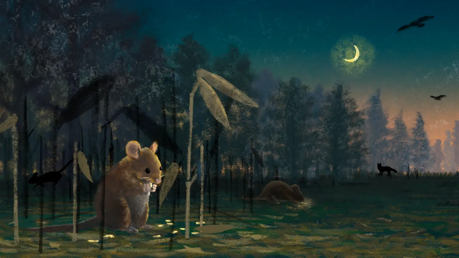 Mice-and-Mast-Seeding-Plants-1536x864.webp