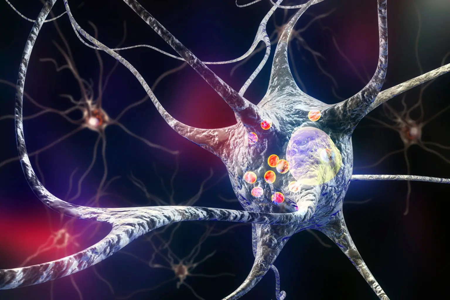 Parkinsons-Disease-Nerve-Cells-1536x1024.webp