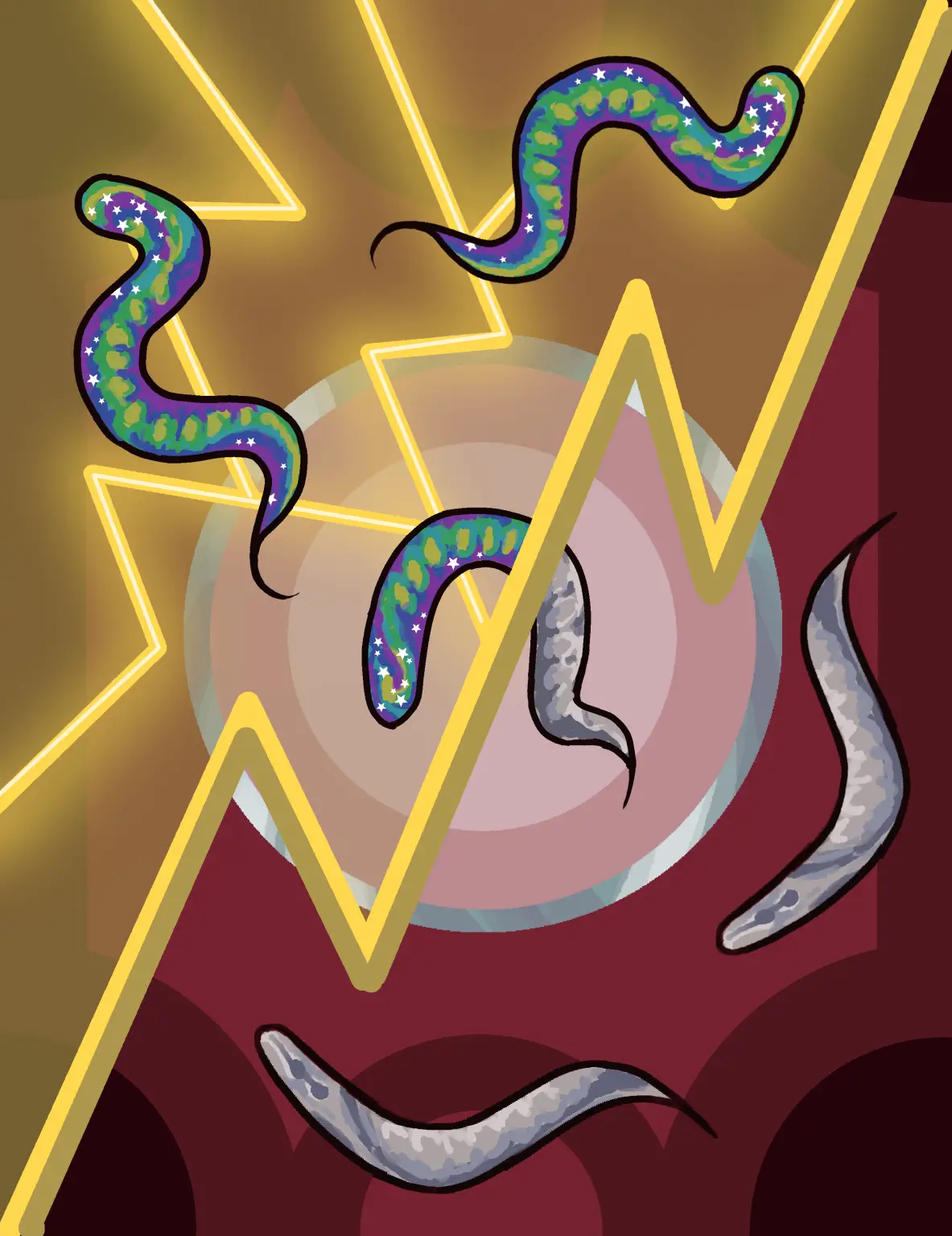 Behavioral-Responses-of-Worms-to-Electric-Stimulus-1183x1536.webp