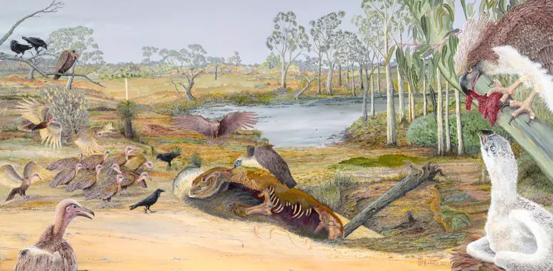Fossil-Birds-of-Prey-Painting-777x381.webp
