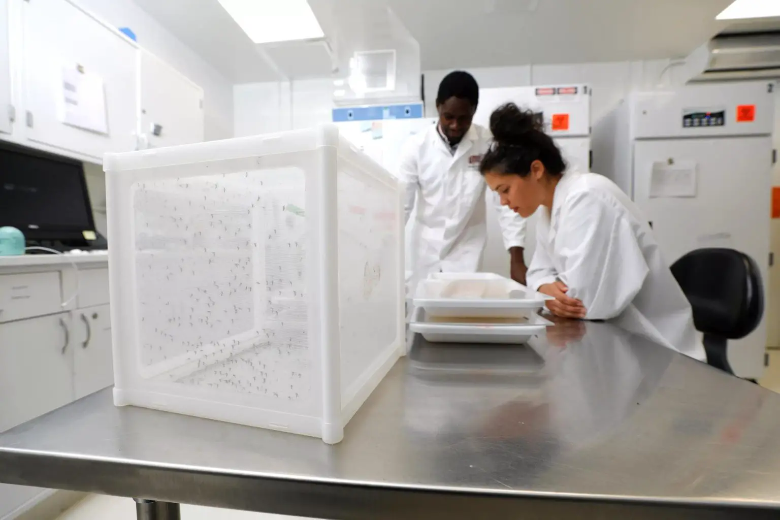Colince-Kamdem-and-Caroline-Fouet-in-Lab-1536x1024.webp