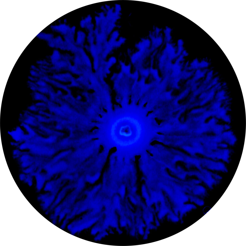 Swarm2-1024x1024.jpg