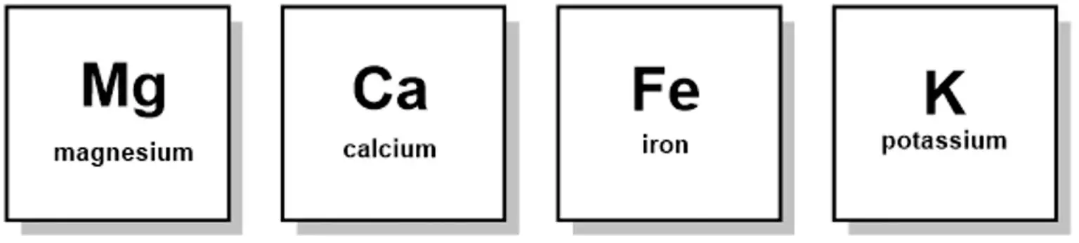 Magnesium-Calcium-Iron-Potassium-1536x346.webp