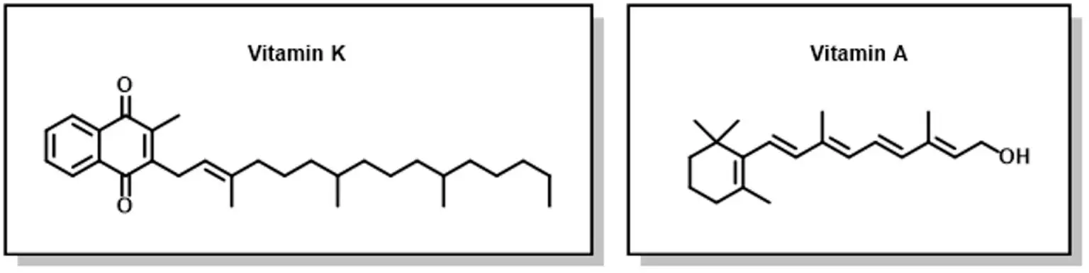 Vitamin-K-A-1536x386.webp