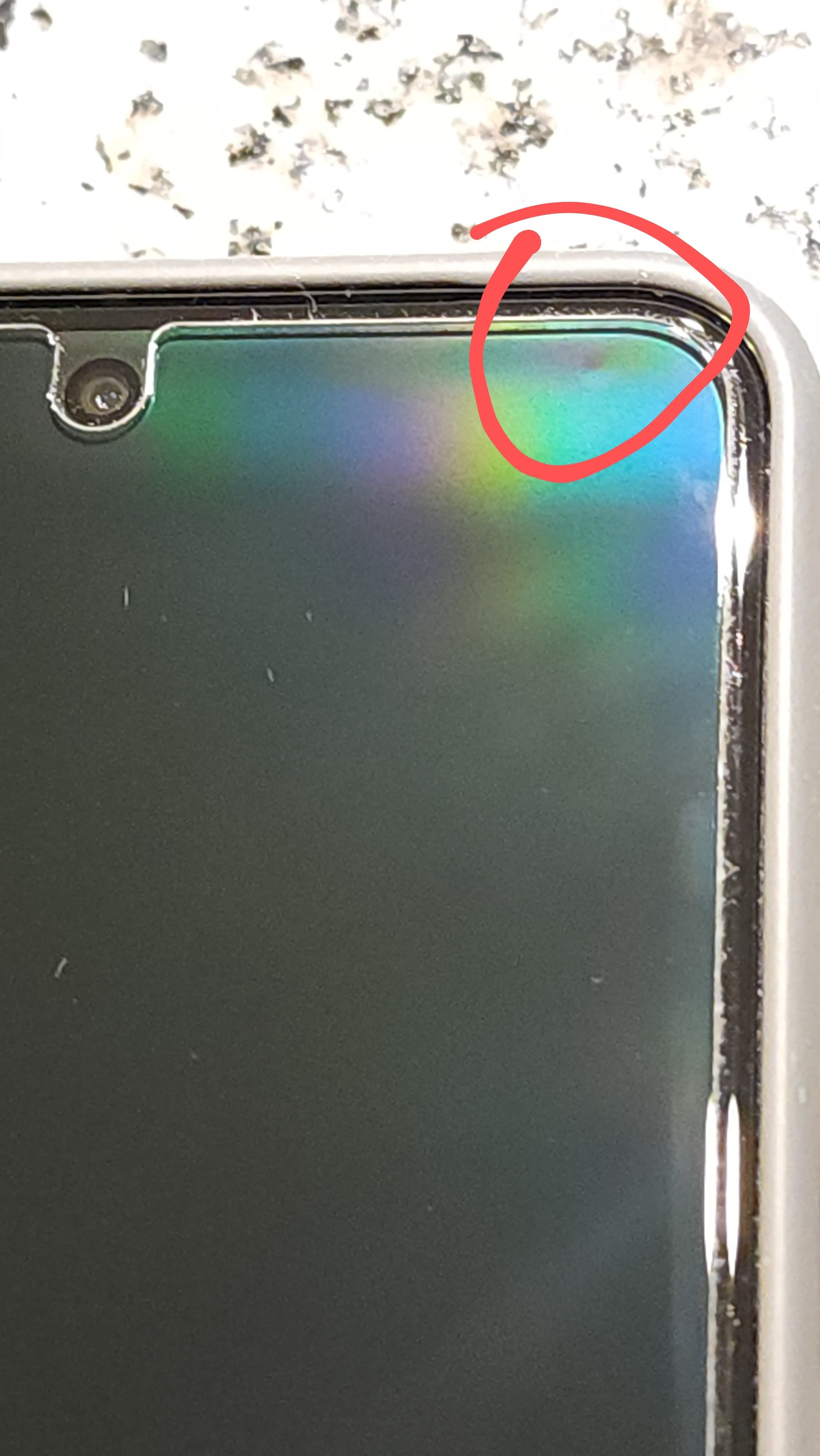 pixel-8-pro-display-bumps-2-1.jpg