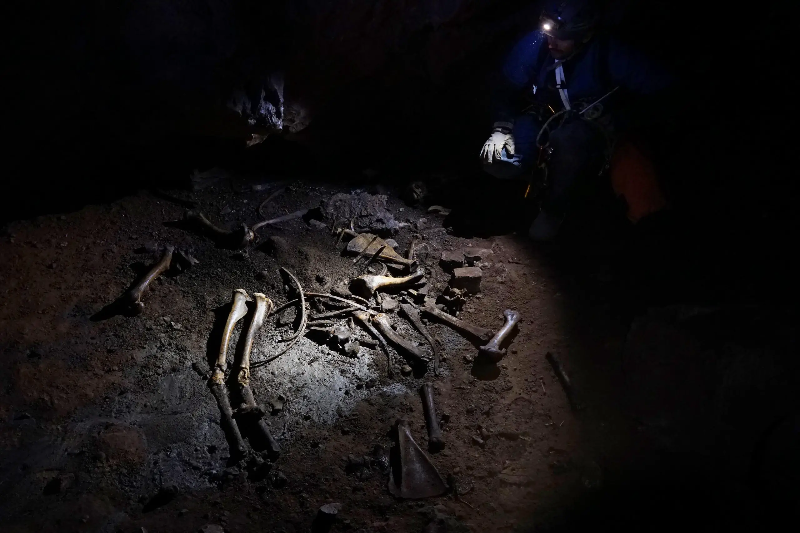 Tyler-Faith-Examines-Elk-Bones-Inside-Skeleton-Cave-scaled.webp