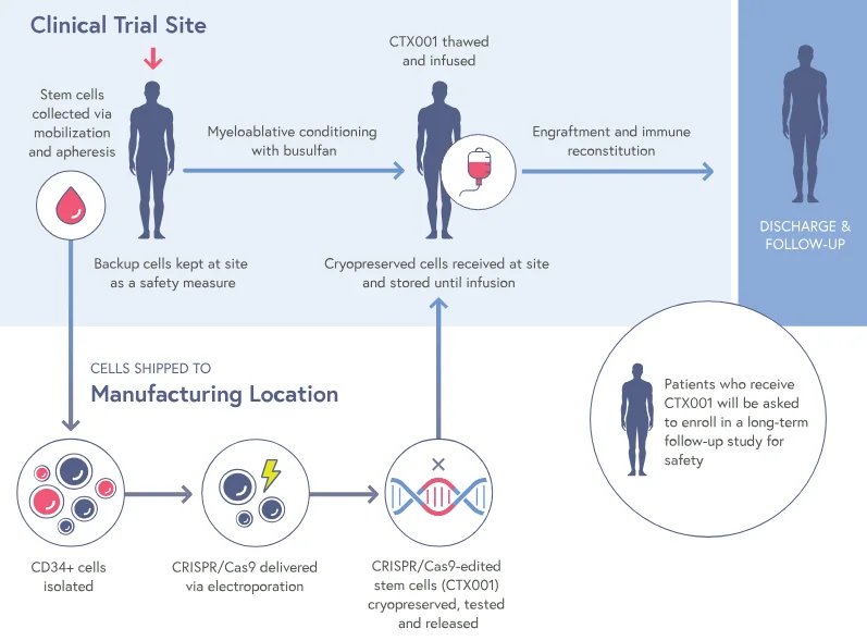fda-accepts-blas-for-the-first-ever-crisper-gene-editing-v0-7myifv03925b1.webp