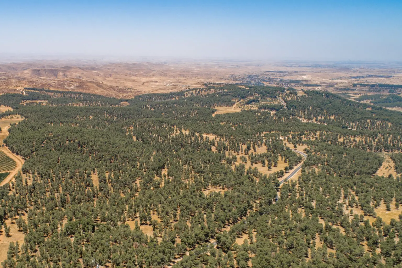 Aerial-View-of-Yatir-Forest-1536x1023.webp