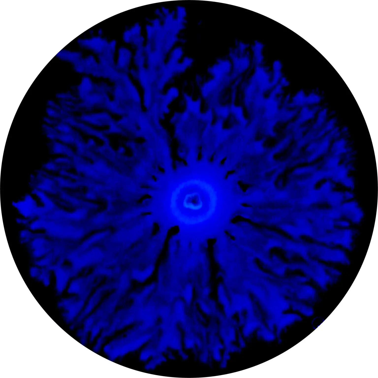 Bacterial-Swarm-1536x1536.webp