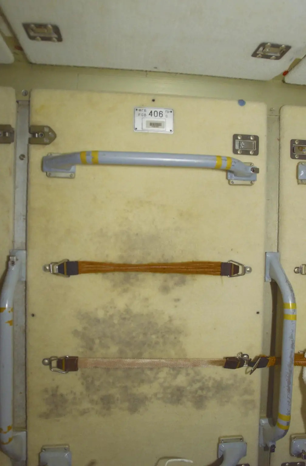 Fungal-Growth-on-ISS-1008x1536.webp