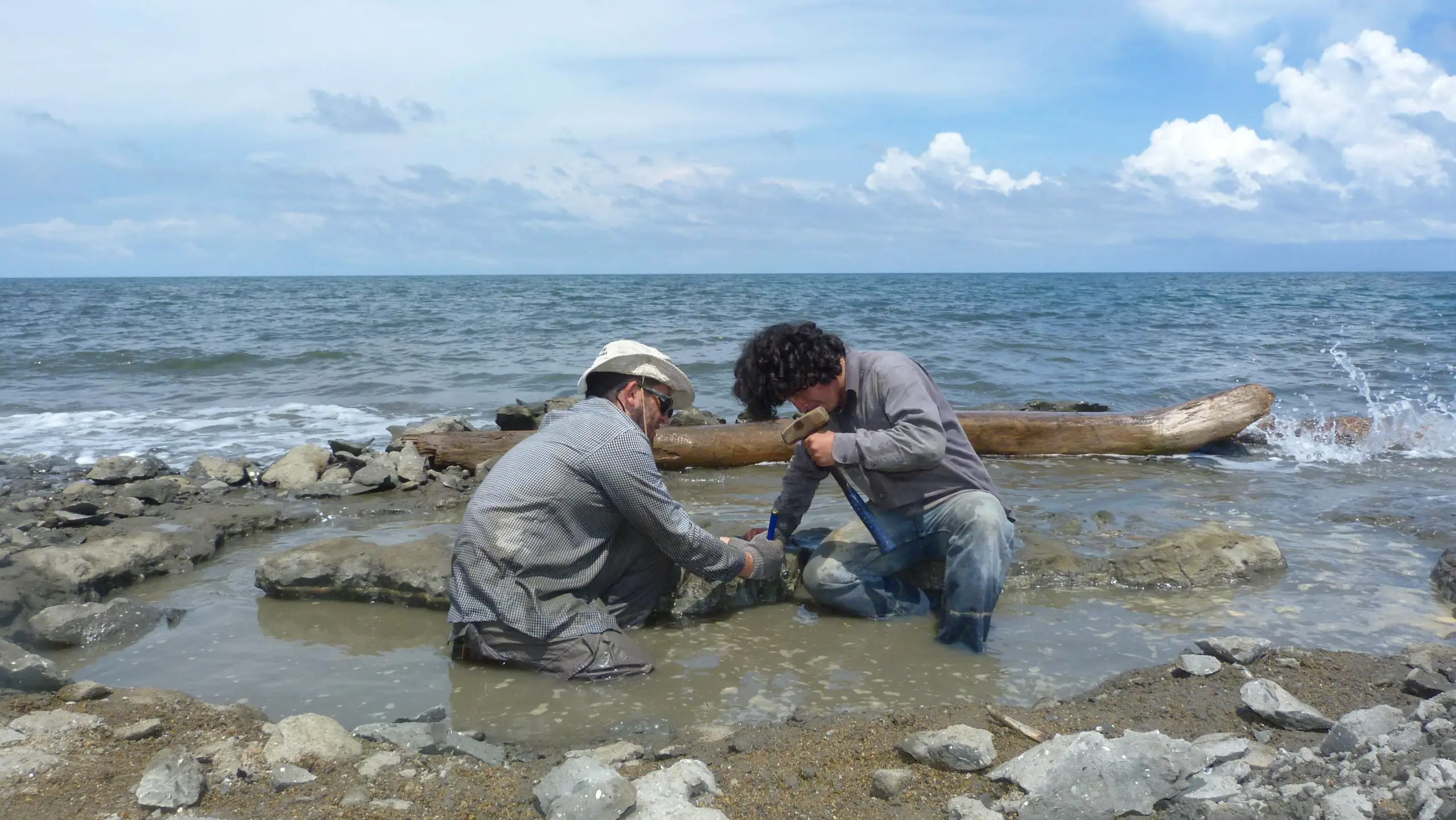 Field-Work-in-Pina-Beach-scaled.webp