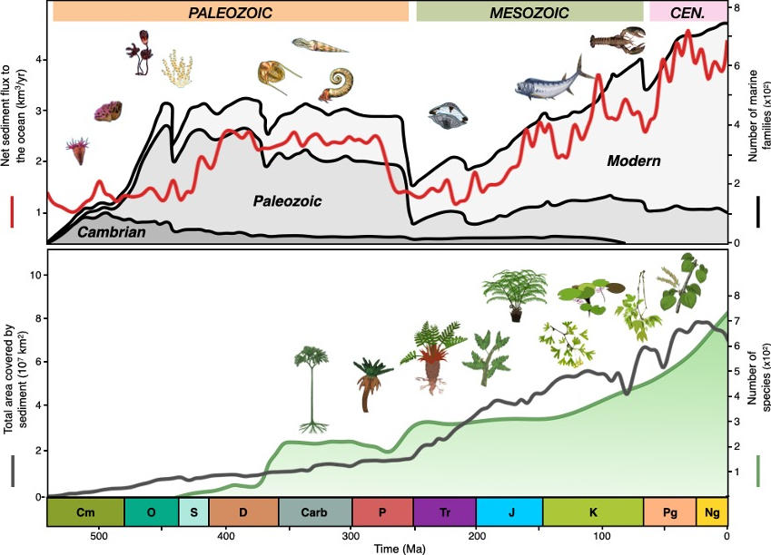 Sediment-Flux-vs-Biodiversity.jpg