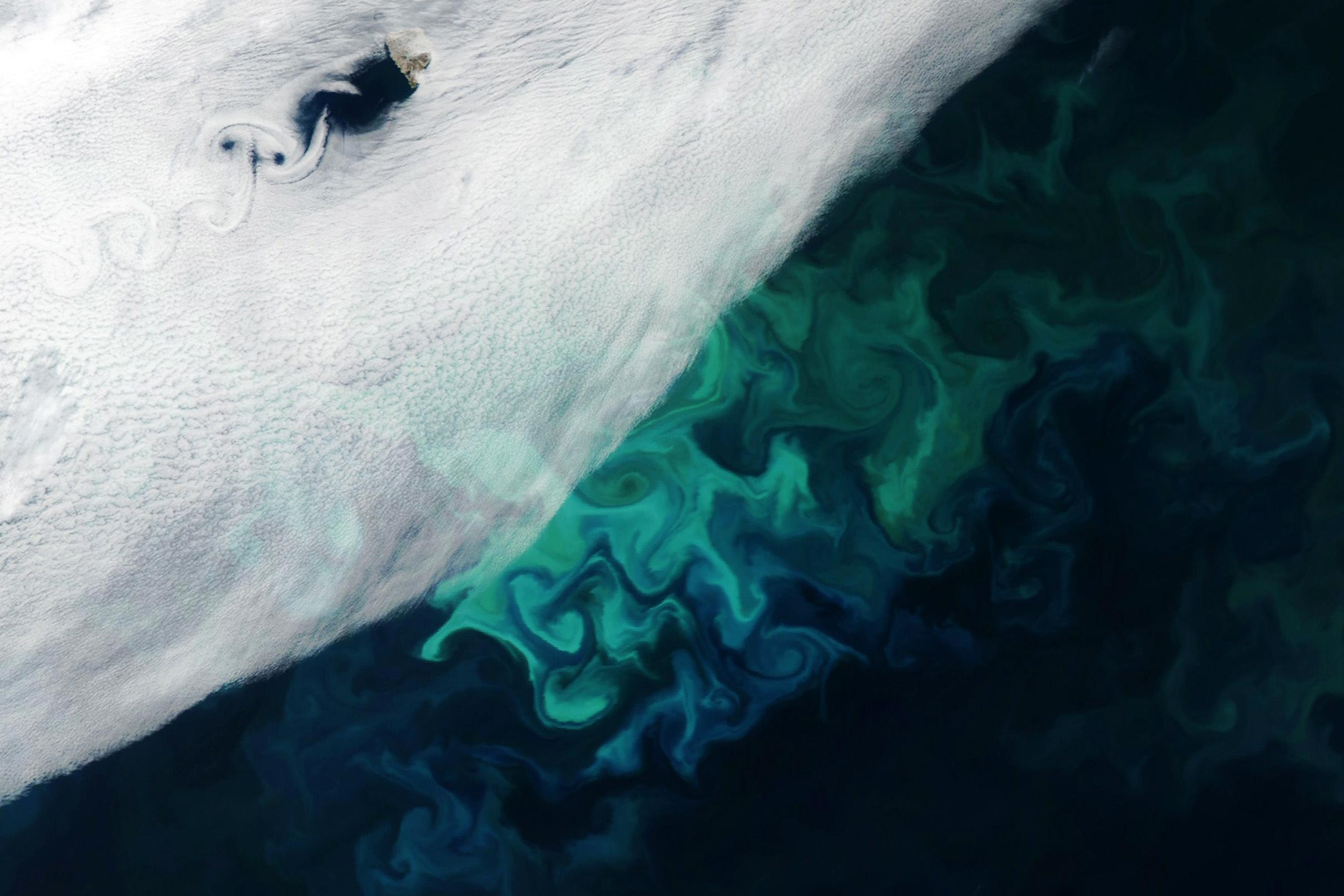 Bear-Island-Vortices-2023.jpg
