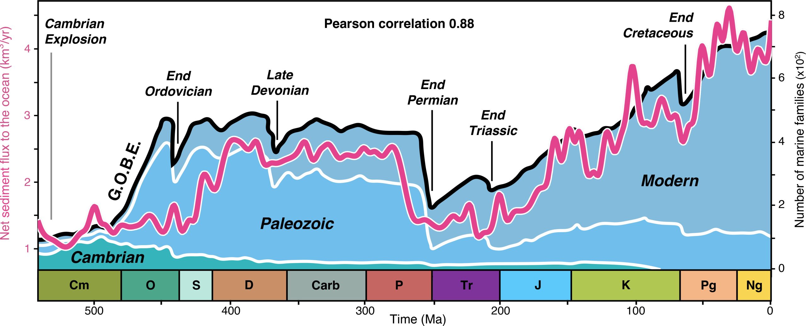 Sediment-Flux-to-Oceans-and-Diversity-of-Marine-Species-scaled.jpg