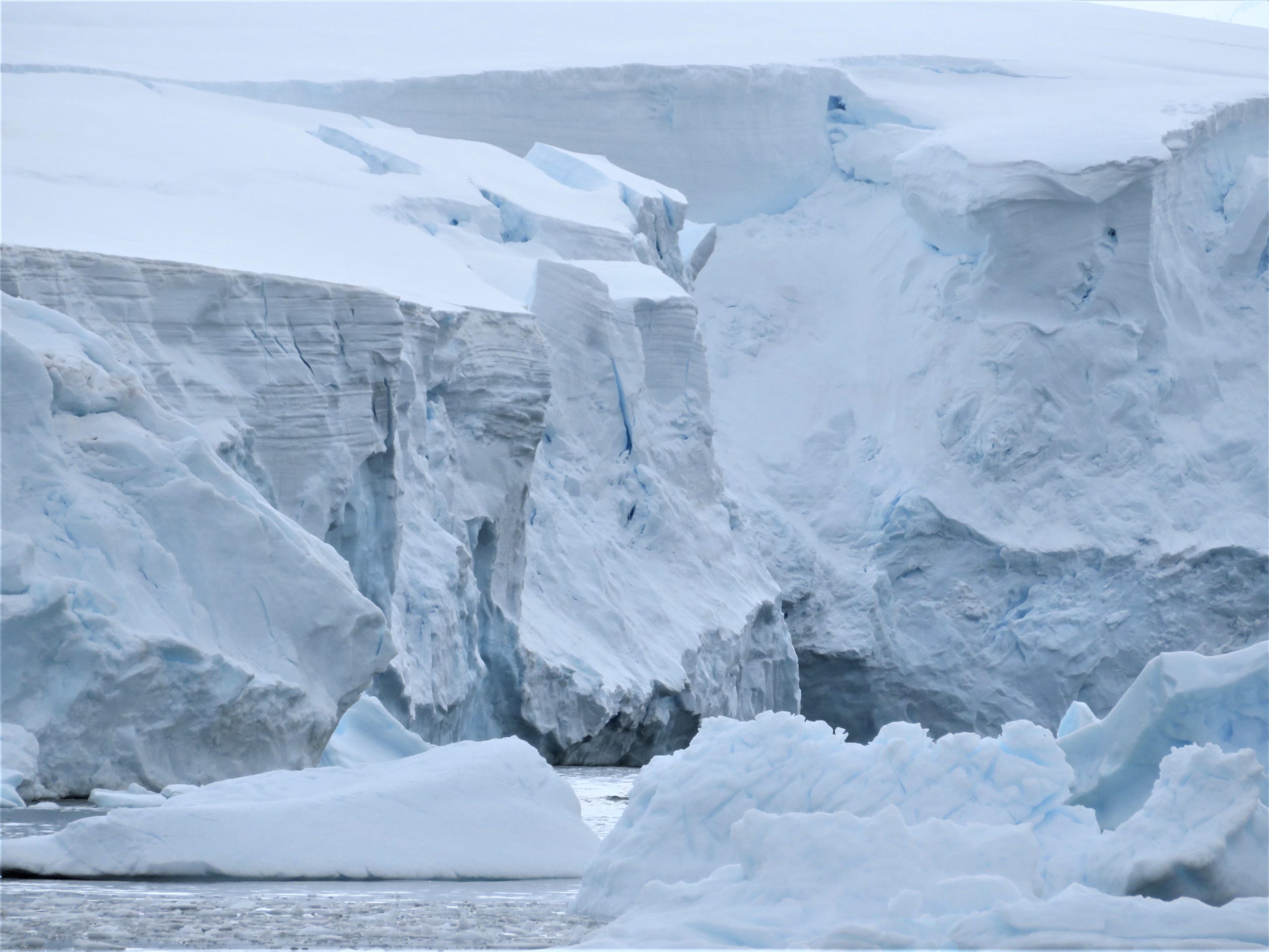 A-Marine-Terminating-Glacier-in-Antarctica-scaled.jpg
