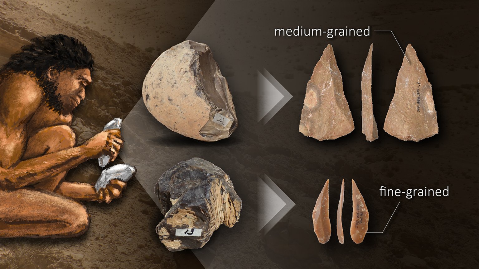 Paleolithic-Humans-Changed-Their-Choice-of-Raw-Material-To-Suit-Their-Stone-Tool-Morphologies-and-Production-Techniques-Graphic-1536x864.webp
