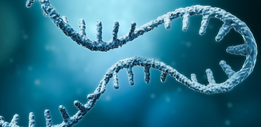 gettyimages-1295693748-mrna-credit-libre-de-droit.jpeg