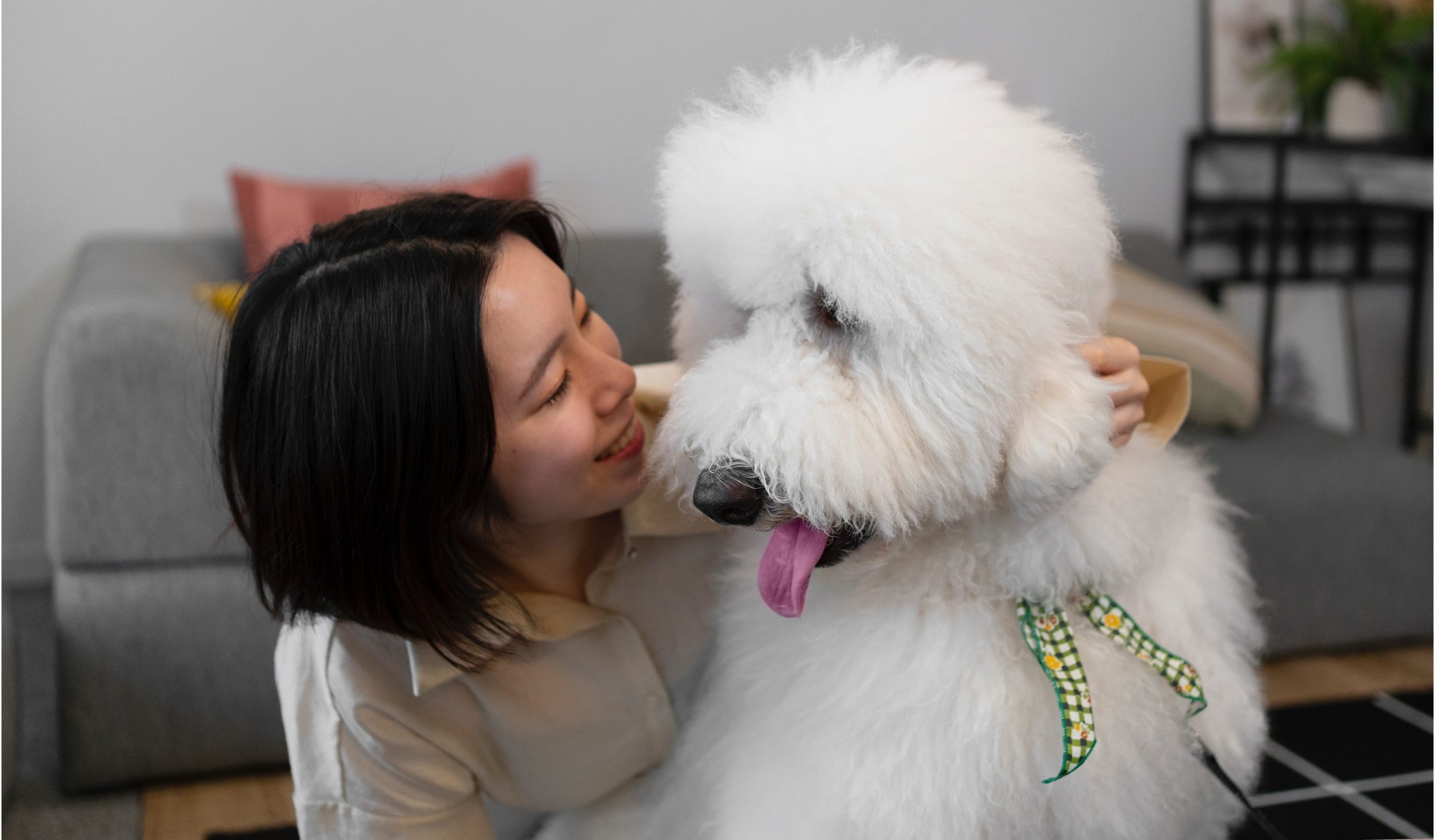 Dog-Japanese-Woman-scaled.jpg