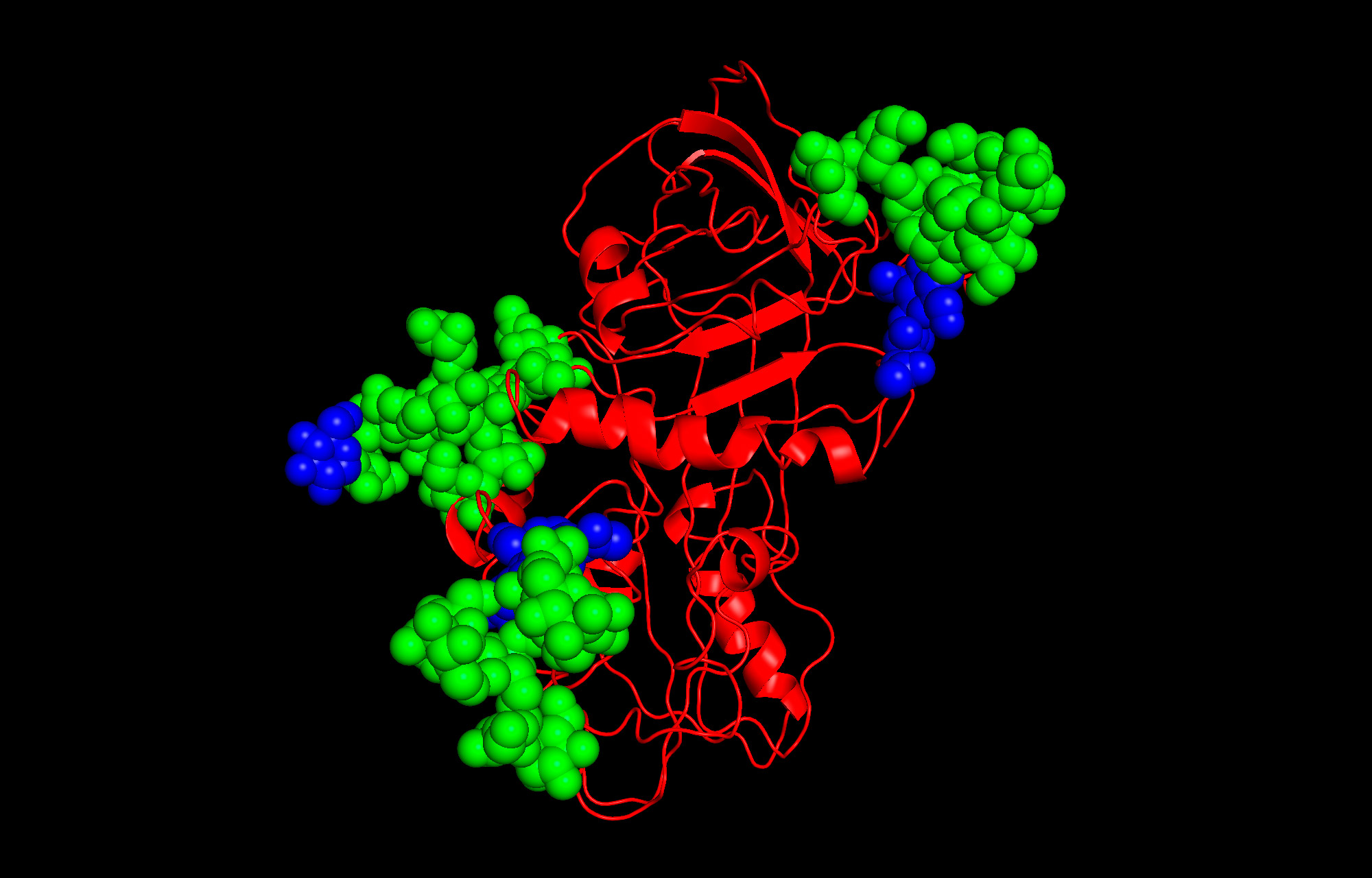 Protein-Glycosolated-With-Glycans.jpg