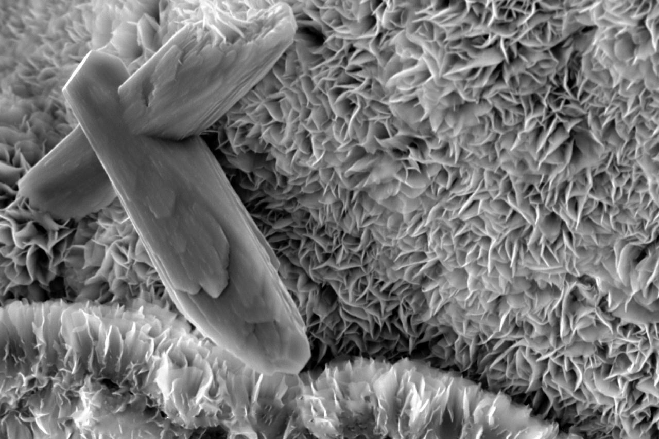 Smectite-Clay-Traps-Carbon.jpg
