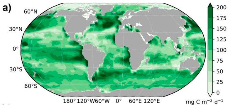 Global-Distribution-of-Organic-Carbon-Flux.jpg