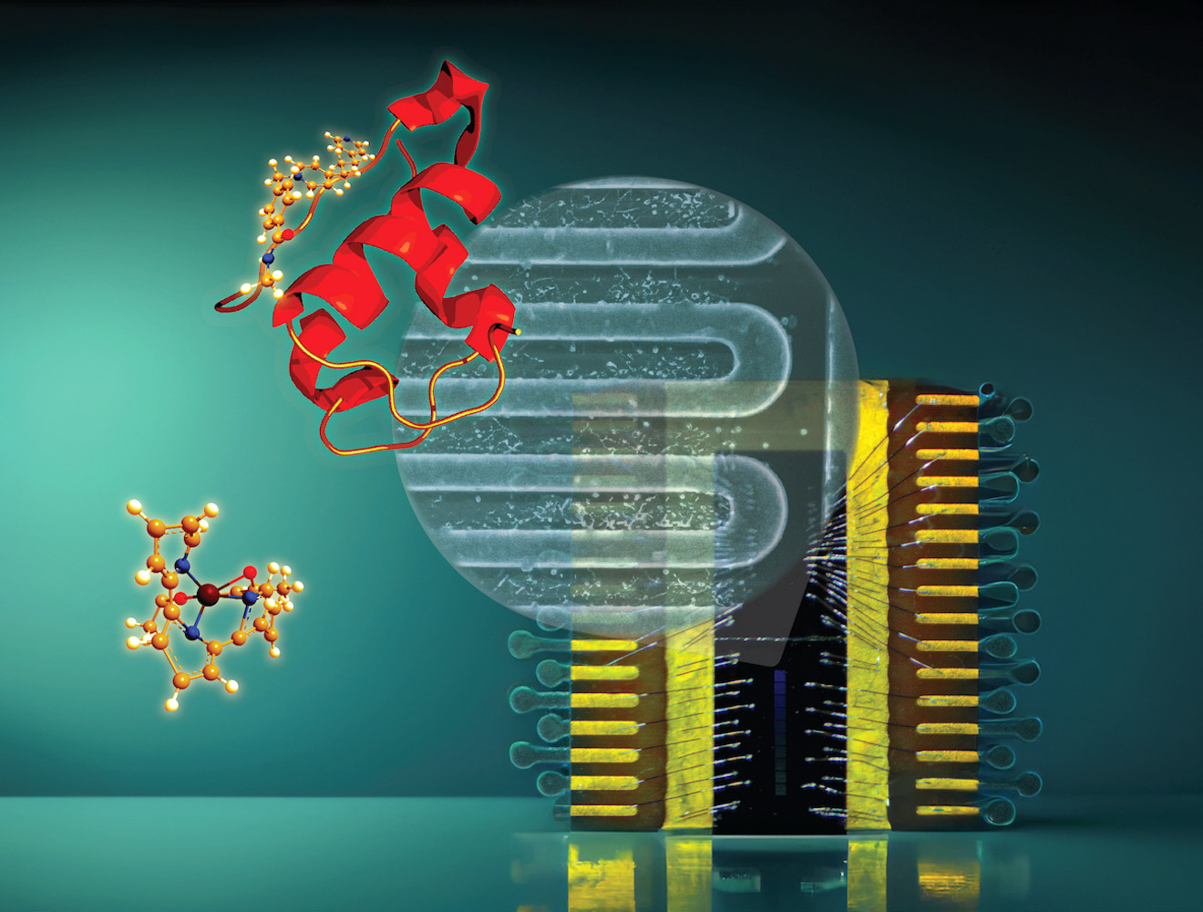 Counting-Single-Proteins-With-Superconducting-Nanowire.jpg