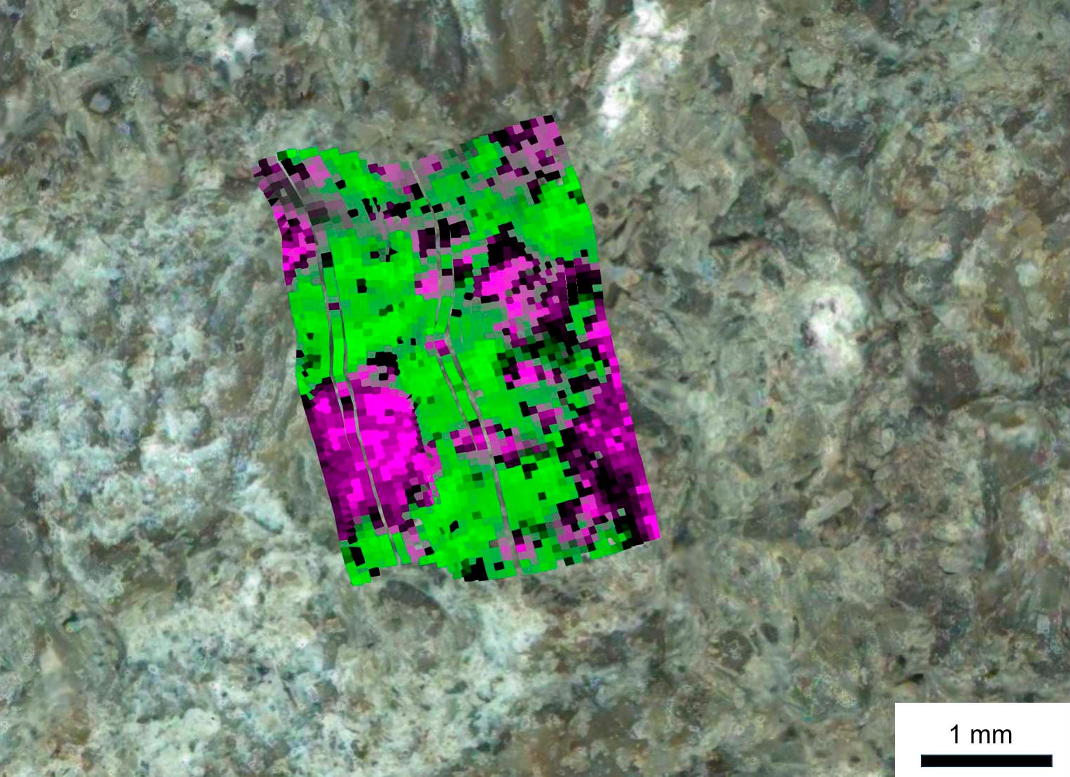 Bills-Bay-Abraded-Rock-Patch.jpg