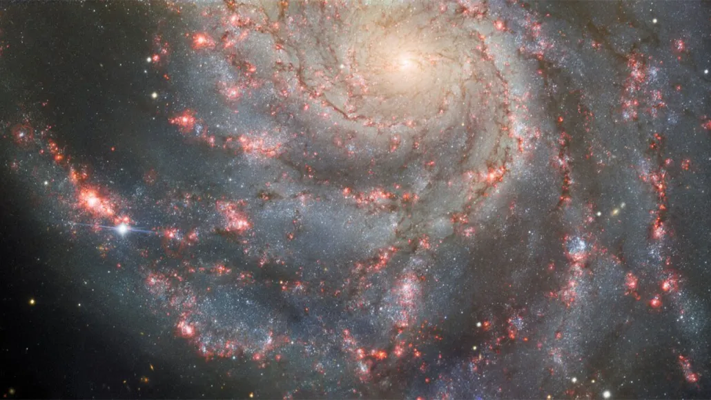 101723_ec_new-supernova_bright-spot_feat.webp