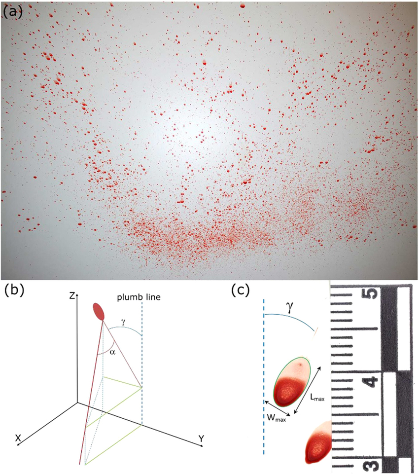Example-of-a-bloodstain-impact-pattern-with-a-detailed-photograph-of-a-single-bloodstain.png