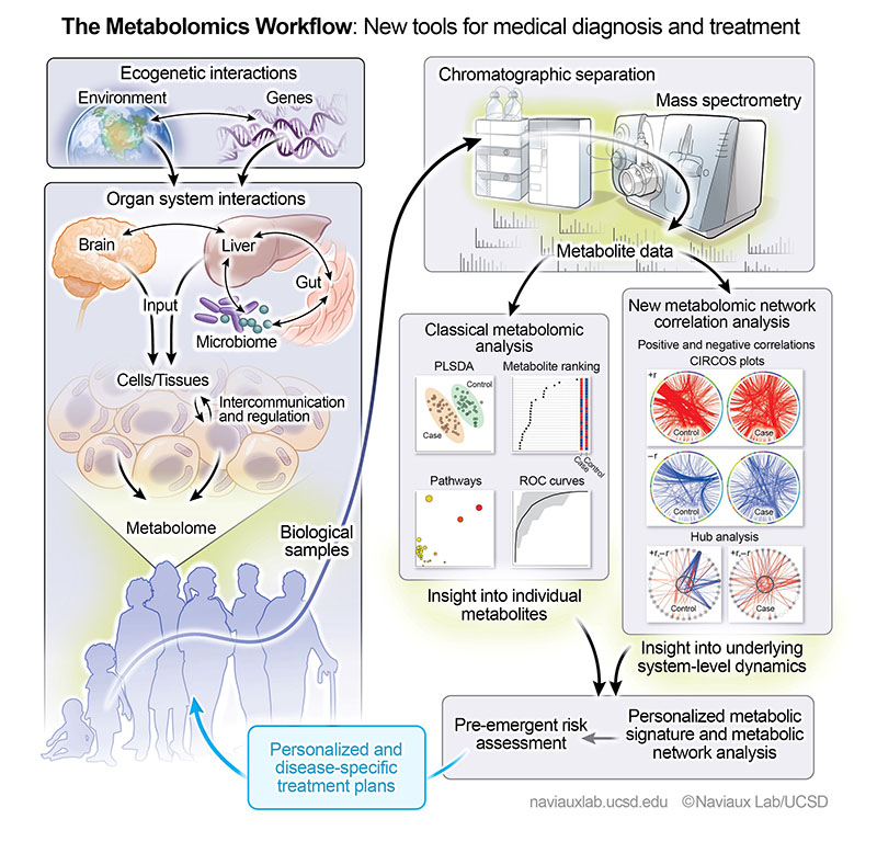 Metabolomics-800px.jpg