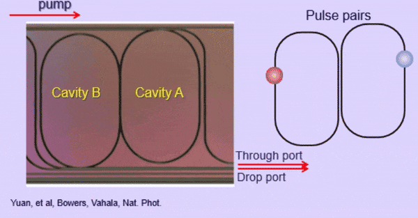 Optical-Pulses-Circling-Through-Conjoined-Optical-Tracks.gif