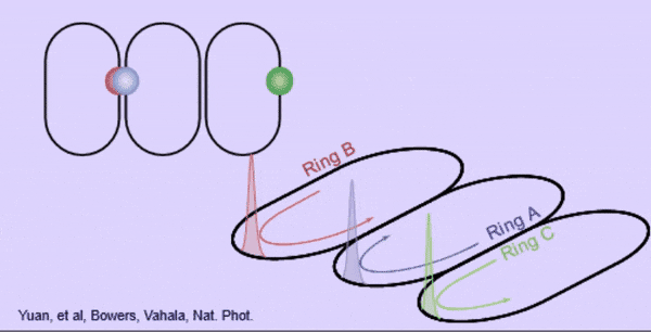 Microcomb-Devices-Work-As-Pairs-of-Conjoined-Optical-Tracks.gif