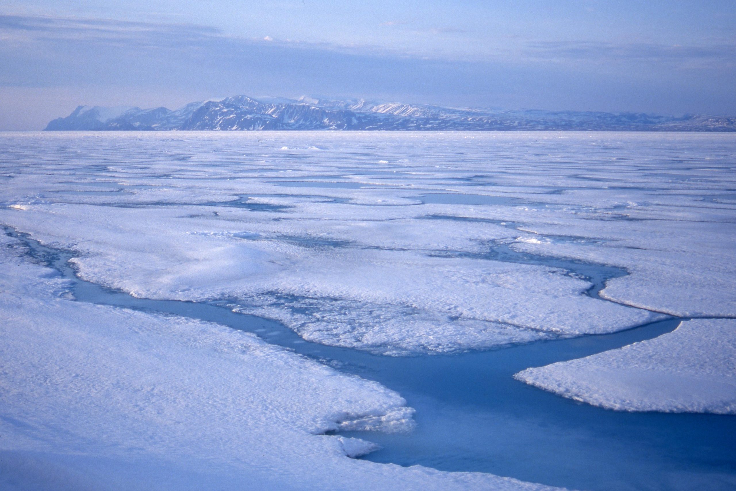 Sea-Ice-Nunavut-Canada-scaled.jpg