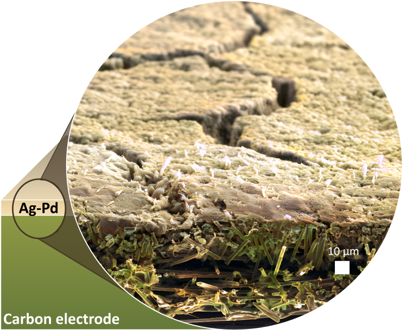 Illustration-of-a-Silver-Palladium-Thin-Film-Deposited-on-a-Porous-Carbon-Electrode.png
