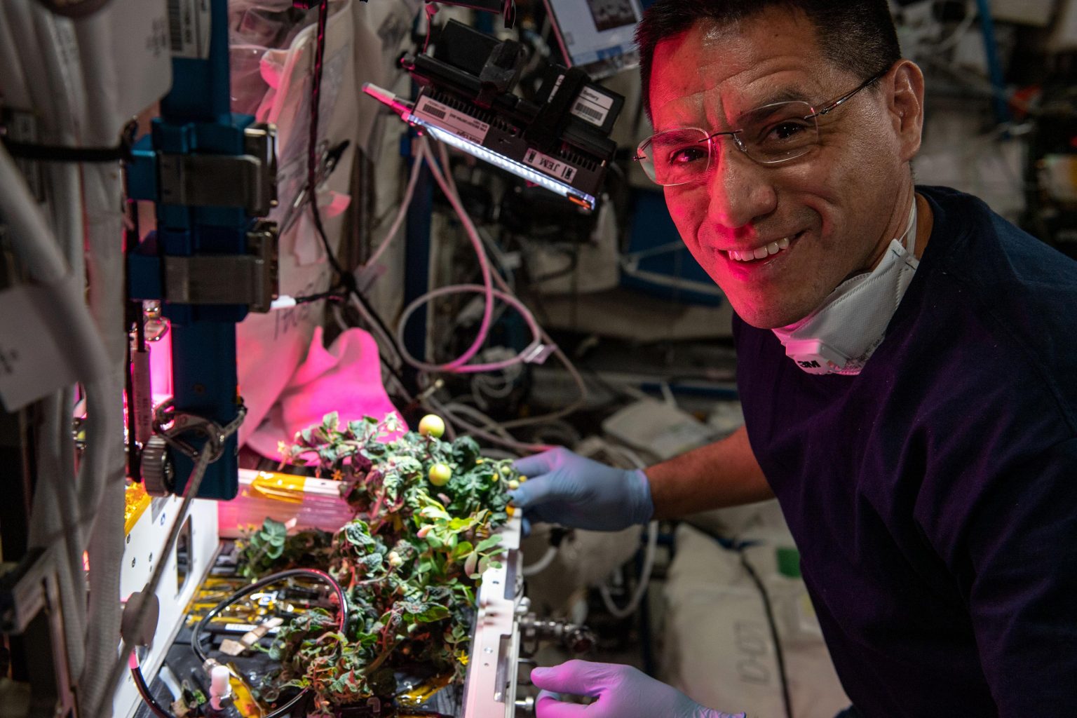 Astronaut-Frank-Rubio-Works-on-Space-Botany-Experiment-1536x1024.jpg