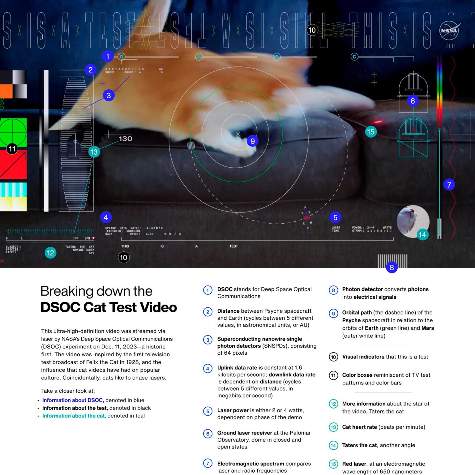 Breaking-Down-DSOC-Cat-Test-Video-1536x1536.jpg