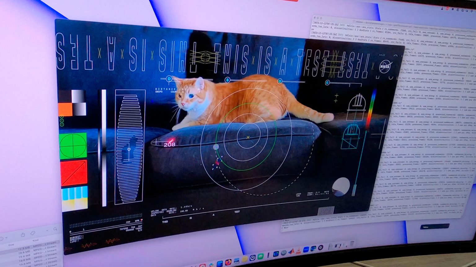 Taters-the-Cat-Video-Still-1536x864.jpg