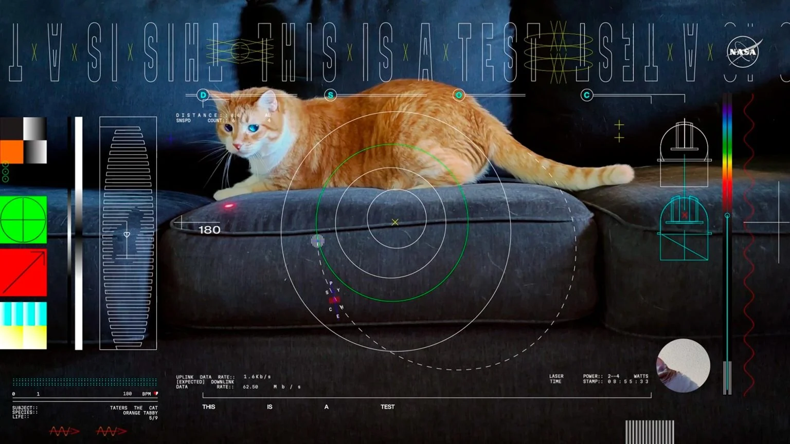 Taters-NASA-Cat-Video-1536x864.webp