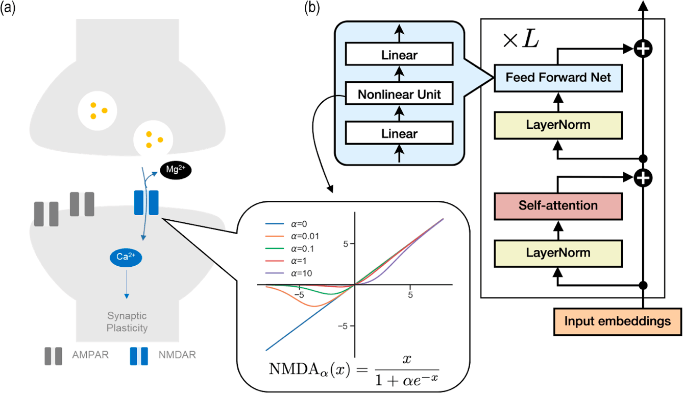 Memory-Forming-Mechanism-Brain-AI.png